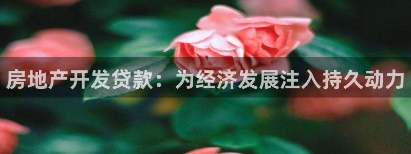 新宝5娱乐平台：房地产开发贷款：为经济发展注入持久动力