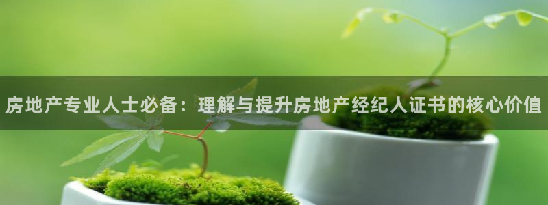 新宝5如何下载：房地产专业人士必备：理解与提升房地产经纪人证