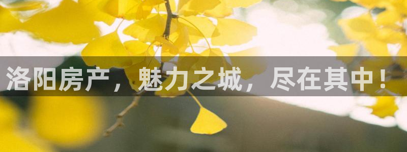 新宝5登录界面：洛阳房产，魅力之城，尽在其中！