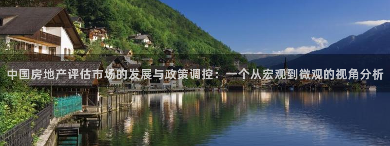 2022新宝骏rs 5：中国房地产评估市场的发展与政策调控：