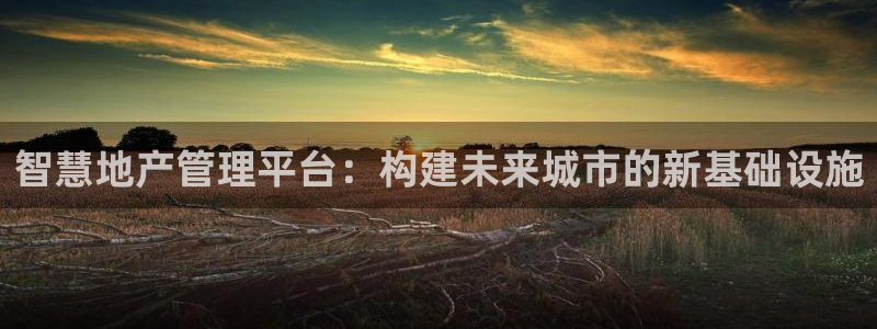 新宝5现在还能玩吗：智慧地产管理平台：构建未来城市的新基础设