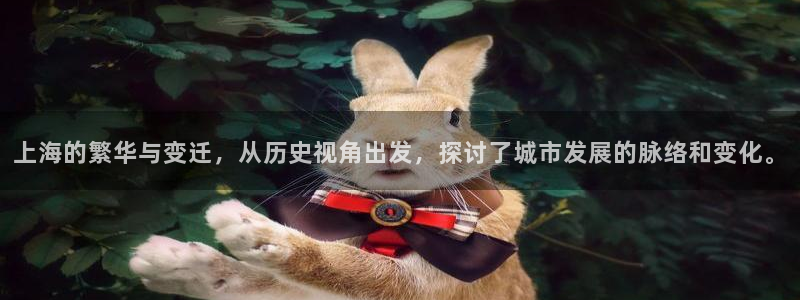 新宝5黑彩：上海的繁华与变迁，从历史视角出发，探讨了城市发展