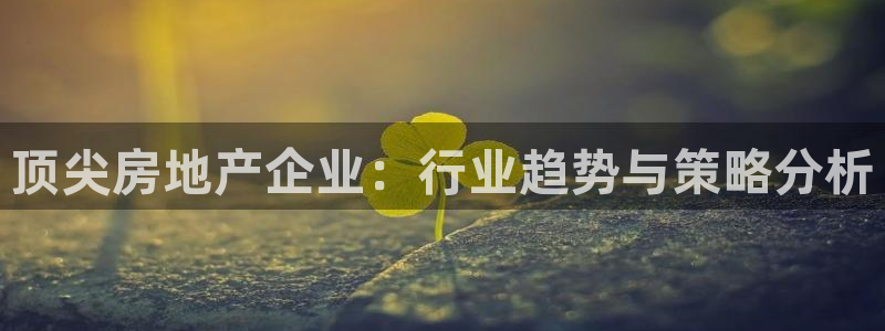 新宝5彩票平台登陆：顶尖房地产企业：行业趋势与策略分析