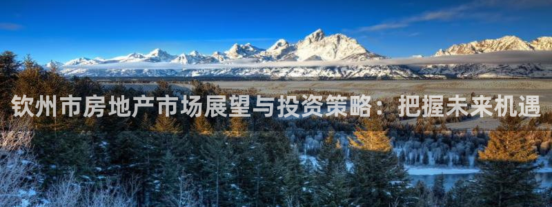 新宝5平台登录：钦州市房地产市场展望与投资策略：把握未来机遇