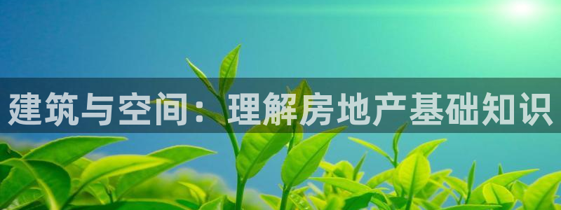 新宝娱乐5：建筑与空间：理解房地产基础知识