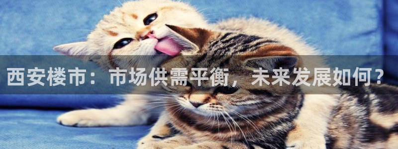 新宝5娱乐都：西安楼市：市场供需平衡，未来发展如何？