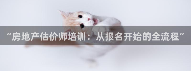 新宝5网站：“房地产估价师培训：从报名开始的全流程”