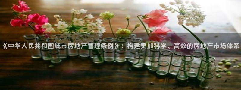 新宝5新宝6顺达：《中华人民共和国城市房地产管理条例》：构建