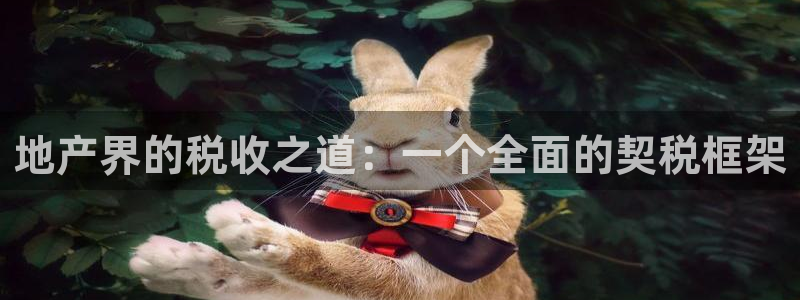 新宝5测速平台登录：地产界的税收之道：一个全面的契税框架
