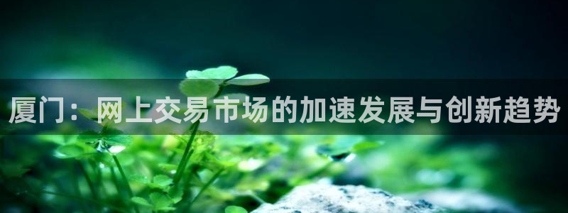 新宝G5：厦门：网上交易市场的加速发展与创新趋势