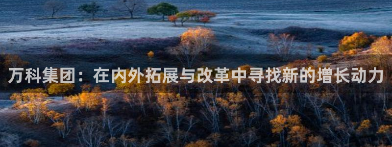 新宝5是什么样子的：万科集团：在内外拓展与改革中寻找新的增长