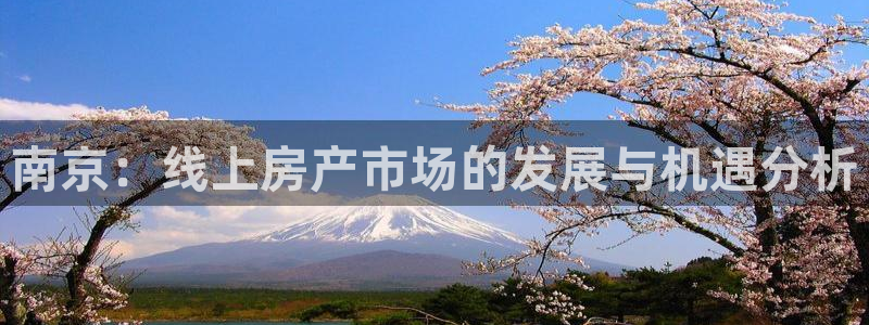 新宝5找找74OOO5：南京：线上房产市场的发展与机遇分析