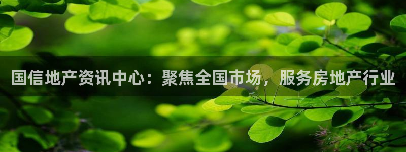 新宝5郑74OOO5：国信地产资讯中心：聚焦全国市场，服务房