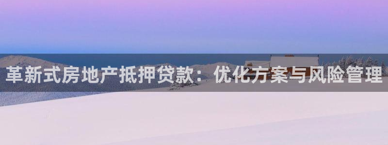 新宝5秒开：革新式房地产抵押贷款：优化方案与风险管理