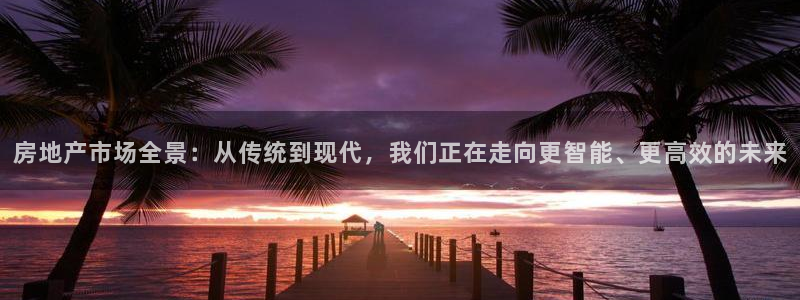 新宝5找找74OOO5：房地产市场全景：从传统到现代，我们正