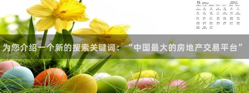 新宝5找找74OOO5：为您介绍一个新的搜索关键词：“中国最
