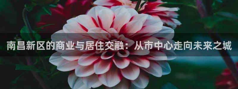 新宝5娱乐平台：南昌新区的商业与居住交融：从市中心走向未来之