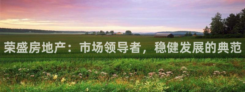 新宝G5：荣盛房地产：市场领导者，稳健发展的典范