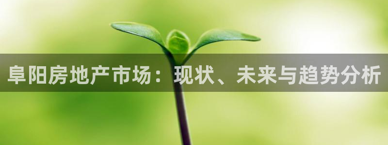 新宝5网：阜阳房地产市场：现状、未来与趋势分析
