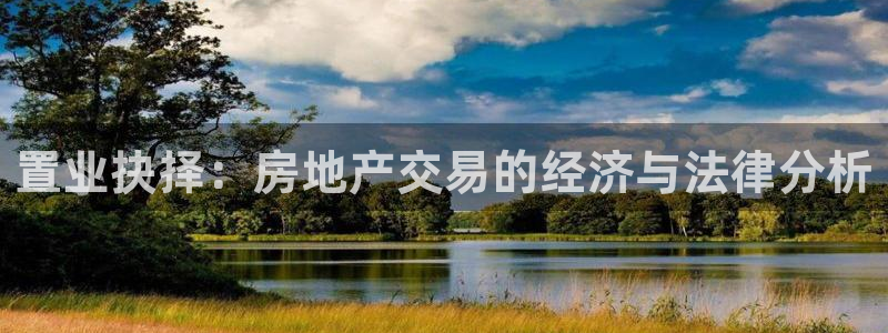 新宝5总代：置业抉择：房地产交易的经济与法律分析