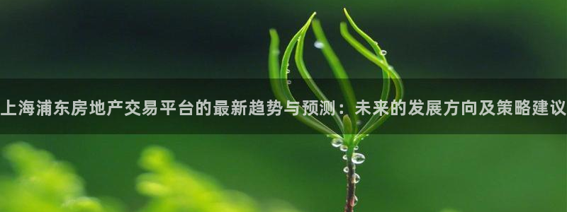 新宝5公司：上海浦东房地产交易平台的最新趋势与预测：未来的发