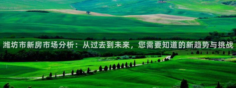 新宝5娱乐登陆：潍坊市新房市场分析：从过去到未来，您需要知道