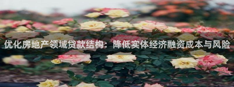 新宝5代理：优化房地产领域贷款结构：降低实体经济融资成本与风