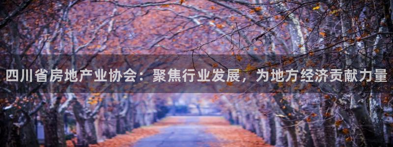 新宝5户端：四川省房地产业协会：聚焦行业发展，为地方经济贡献