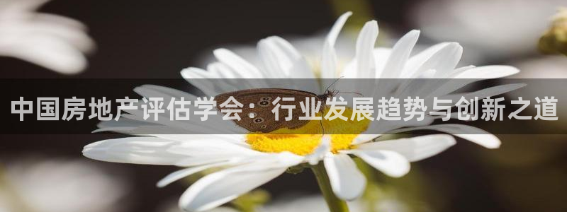 新宝5彩票是正规平台吗：中国房地产评估学会：行业发展趋势与创