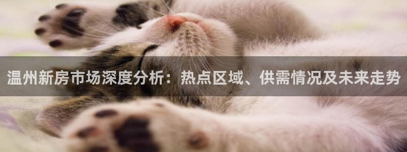 新宝5线路登录检测：温州新房市场深度分析：热点区域、供需情况