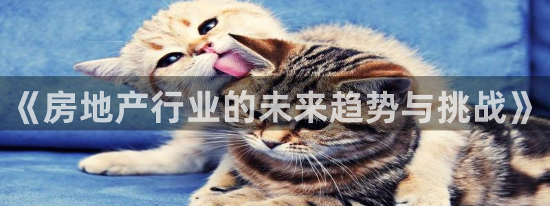 新宝5是谁：《房地产行业的未来趋势与挑战》