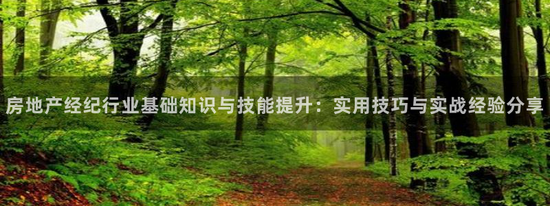 新宝5总代：房地产经纪行业基础知识与技能提升：实用技巧与实战