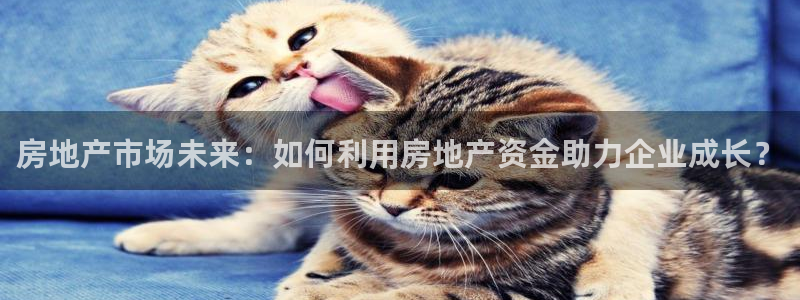 新宝5开好：房地产市场未来：如何利用房地产资金助力企业成长？