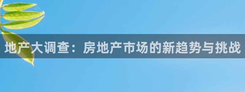 新宝5_测：地产大调查：房地产市场的新趋势与挑战