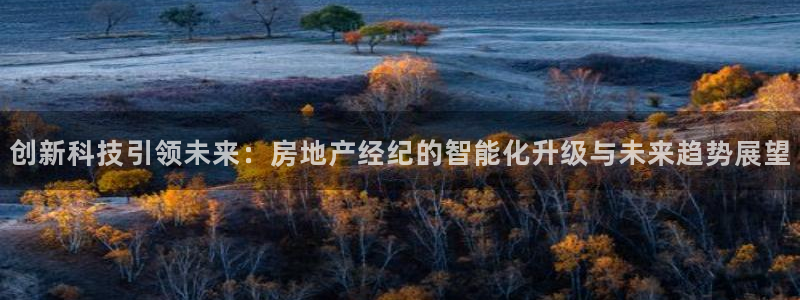 5新宝：创新科技引领未来：房地产经纪的智能化升级与未来趋势展