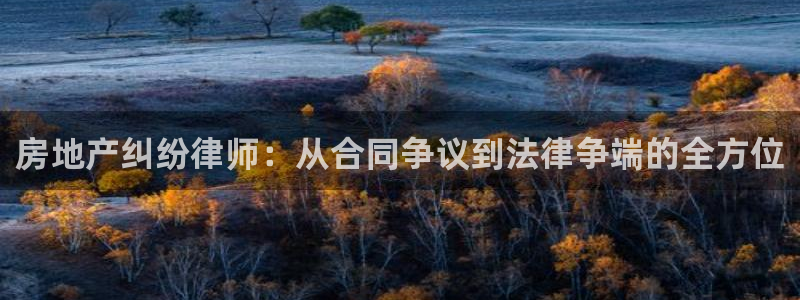 新宝那2O5O5O：房地产纠纷律师：从合同争议到法律争端的全