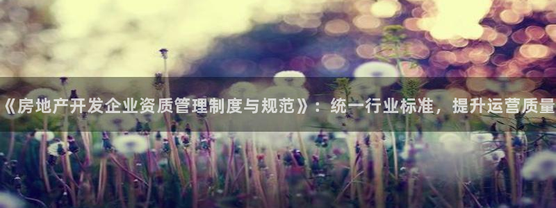 新宝5 - 测速登陆：《房地产开发企业资质管理制度与规范》：