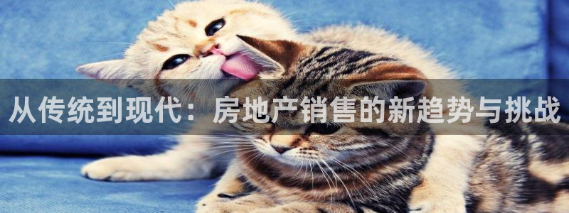 新宝5下载软件：从传统到现代：房地产销售的新趋势与挑战