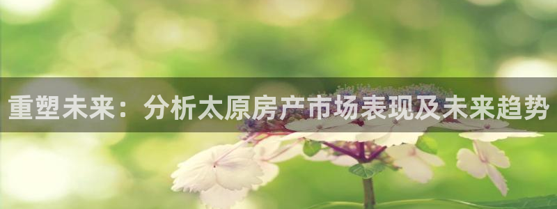 新宝5官方下载地址