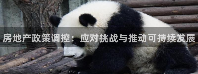 新宝5_测：房地产政策调控：应对挑战与推动可持续发展