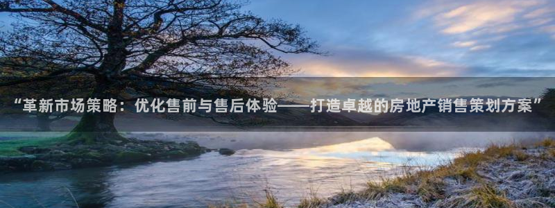 新宝5登录霸：“革新市场策略：优化售前与售后体验——打造卓越