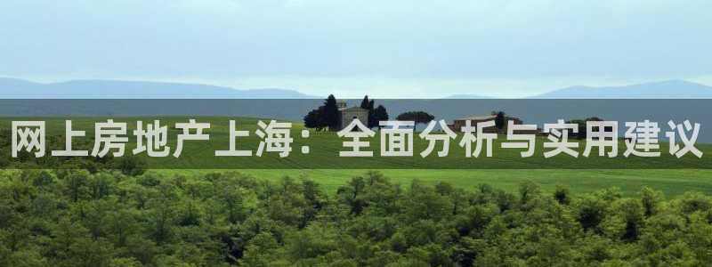 新宝5平台登陆：网上房地产上海：全面分析与实用建议