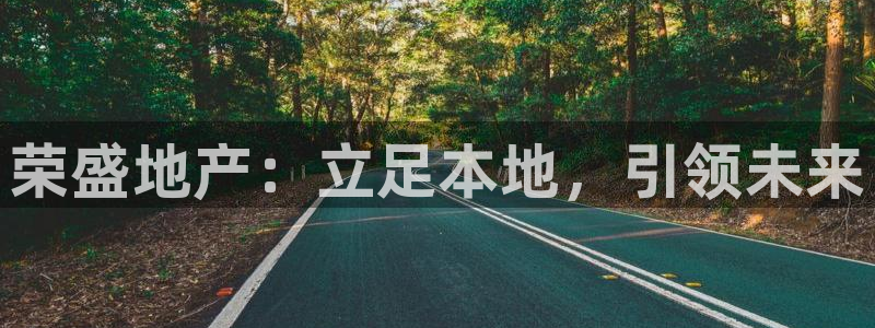 新宝5蒋74OOO5：荣盛地产：立足本地，引领未来