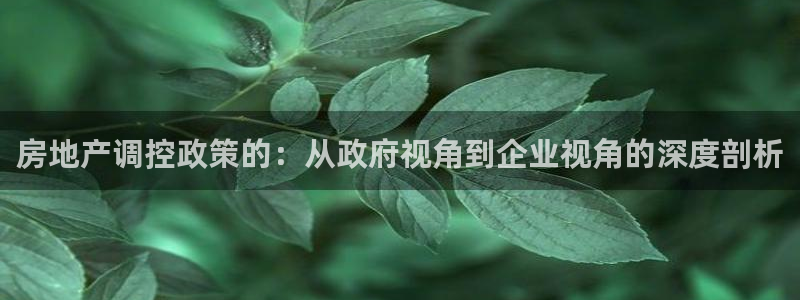 新宝5日740005蔻：房地产调控政策的：从政府视角到企业视