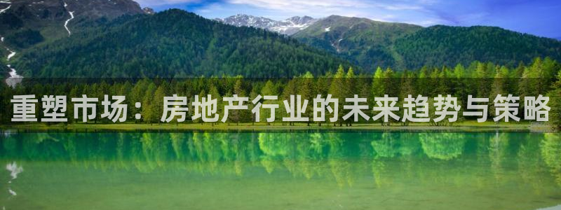 新宝5寻33 300球：重塑市场：房地产行业的未来趋势与策略