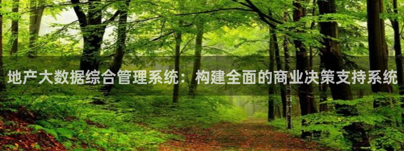 新宝5首页：地产大数据综合管理系统：构建全面的商业决策支持系