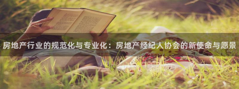 新宝5挂机软件：房地产行业的规范化与专业化：房地产经纪人协会