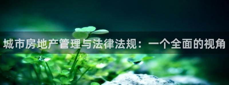 新宝5如何注册登录：城市房地产管理与法律法规：一个全面的视角