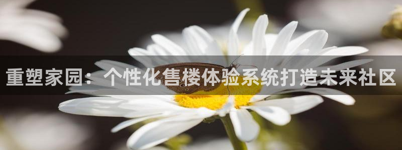 新宝b2O5O5O：重塑家园：个性化售楼体验系统打造未来社区