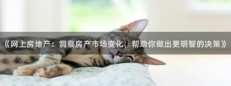 新宝5登录：《网上房地产：洞察房产市场变化，帮助你做出更明智